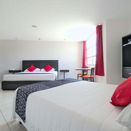 Hotel Euro Confort,Pachuca Eksteriør billede