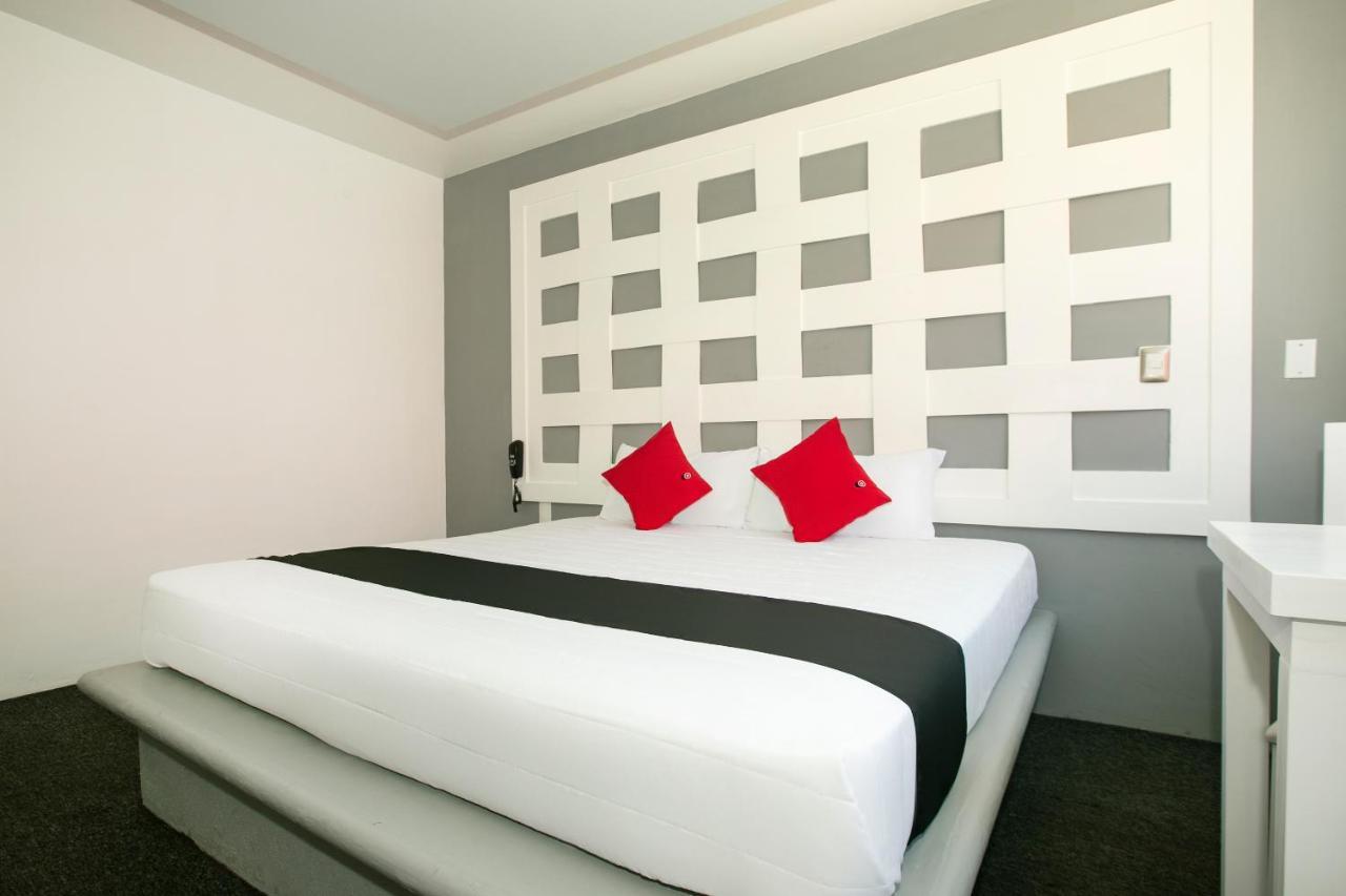 Hotel Euro Confort,Pachuca Eksteriør billede